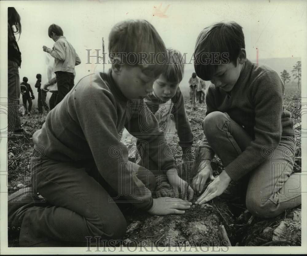 1972, Children planting trees in George Washington National Forest - Historic Images