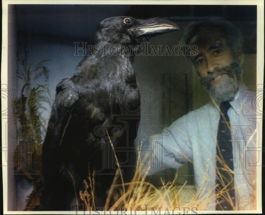 1993, Robert Peck with stuffed raven "Grip" in Philadelphia museum. - Historic Images