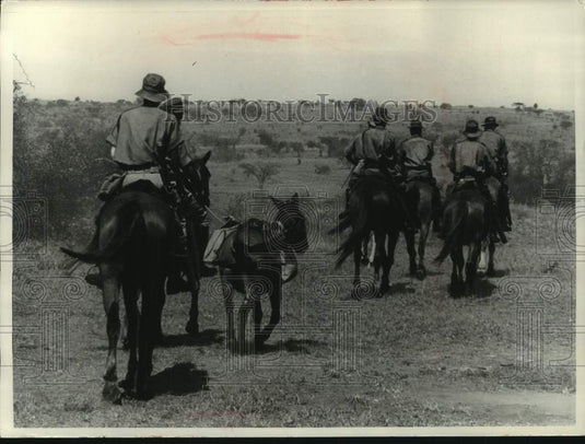 1969, Kenya police horseback patrol in the bush, Africa - mjc35900 - Historic Images