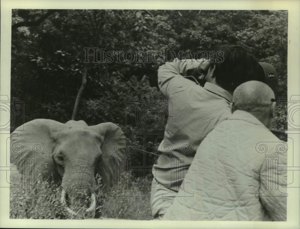 1967, Two Photographers Take Photo of Charging Elephant in Kenya - Historic Images
