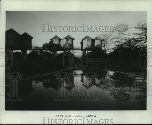 1973, Watering Hole at Salt Lick Lodge in Kenya East Africa - Historic Images