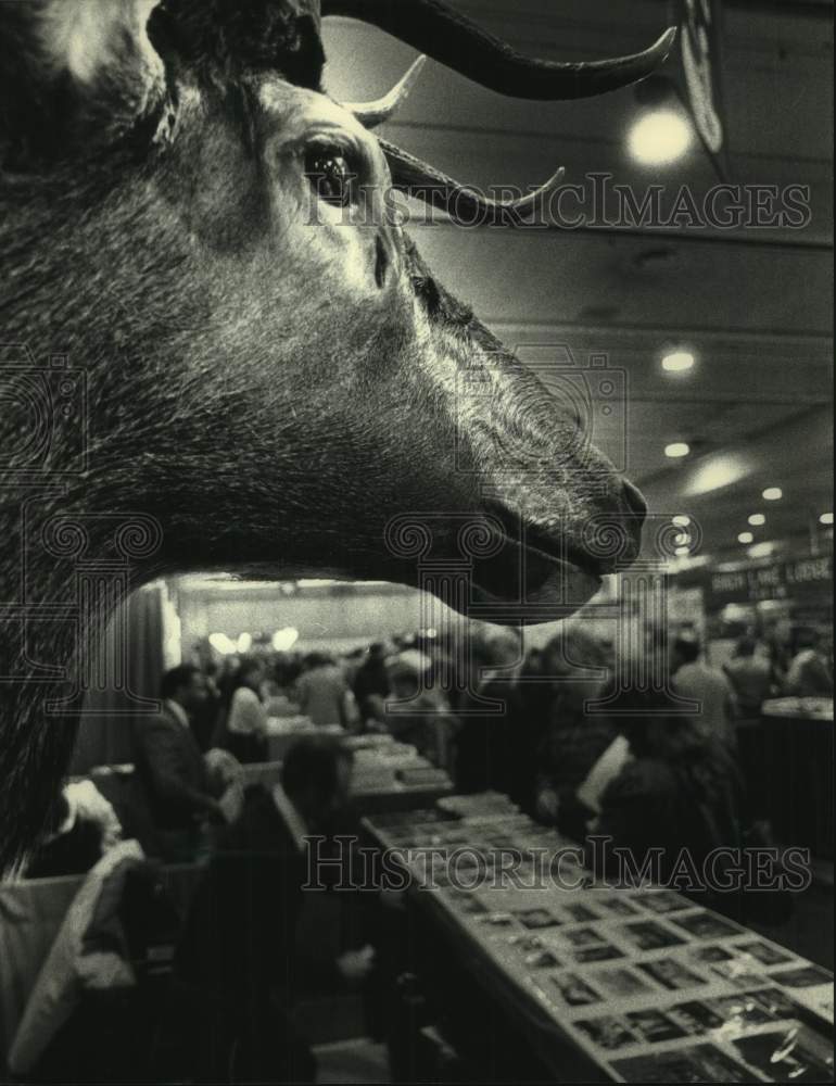 1988 Press Photo Scene from The Milwaukee Sentinel Sports, Travel &amp; Boat Show - Historic Images