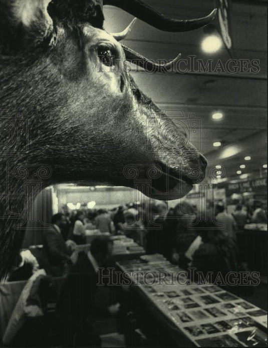 1988 Press Photo Scene from The Milwaukee Sentinel Sports, Travel & Boat Show - Historic Images