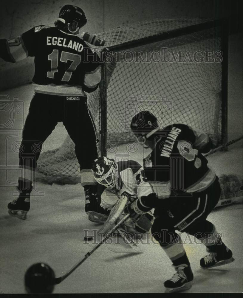 1991 Press Photo Milwaukee Admirals Hockey Game Action - mjc36320 - Historic Images