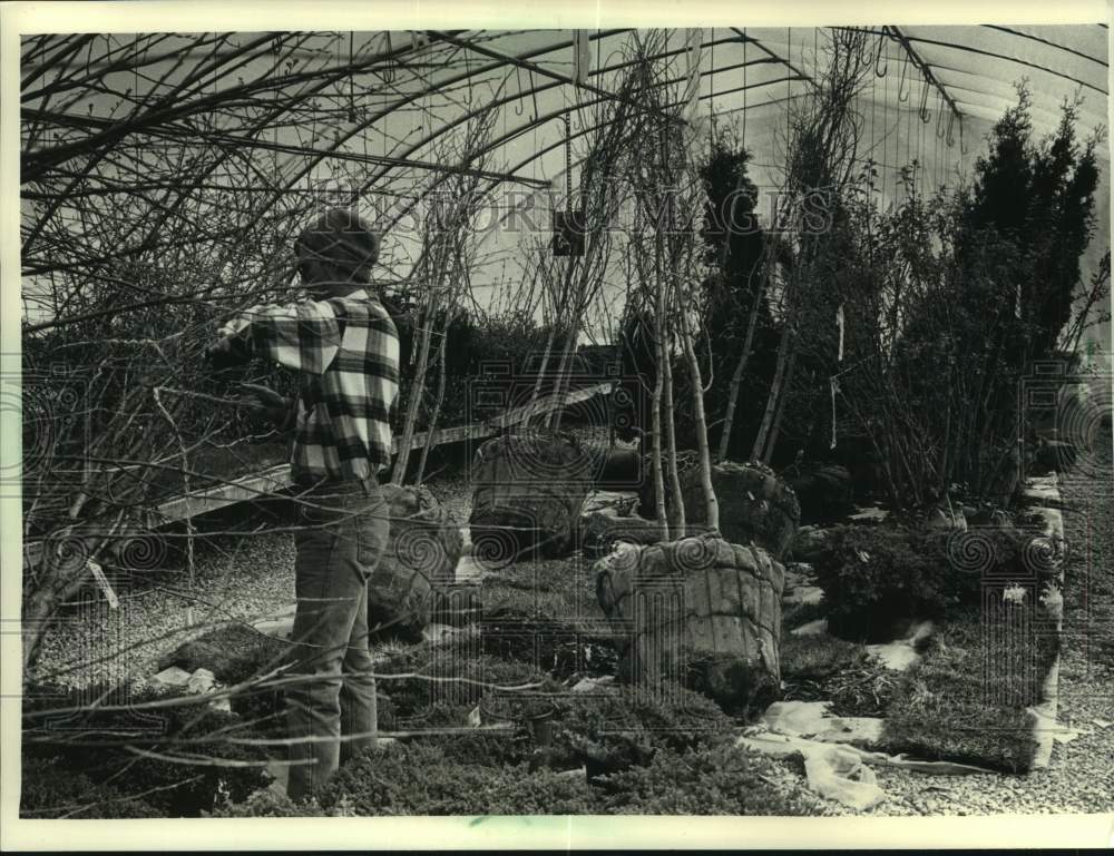 1991 Press Photo Jerry Nelson prepares nursery stock for home show display - Historic Images