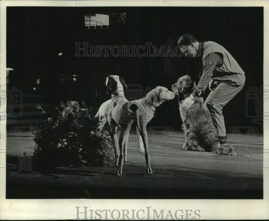 1966, Ray Sommers' dog act at The Milwaukee Sentinel Sports Show - Historic Images
