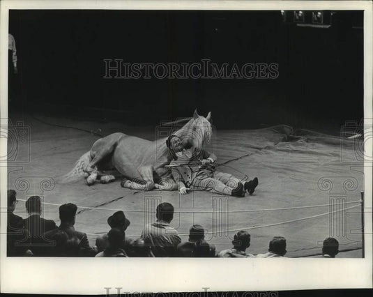 1963, Tony the Wonder Horse & master Rosaire at Milwaukee Sports Show - Historic Images