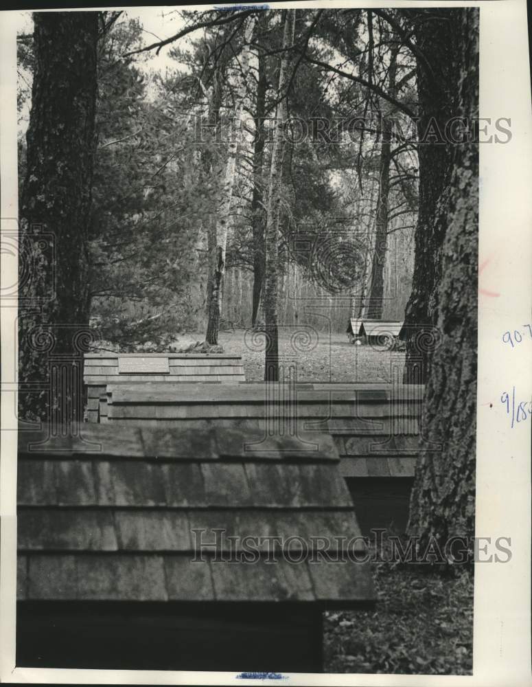 1973, Chippewa buried in Hayward cemetery with house like structures. - Historic Images
