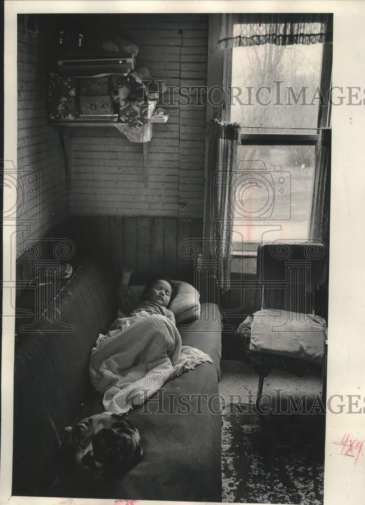 1973 Chippewa baby Karen curled up on couch by cat for morning nap. - Historic Images