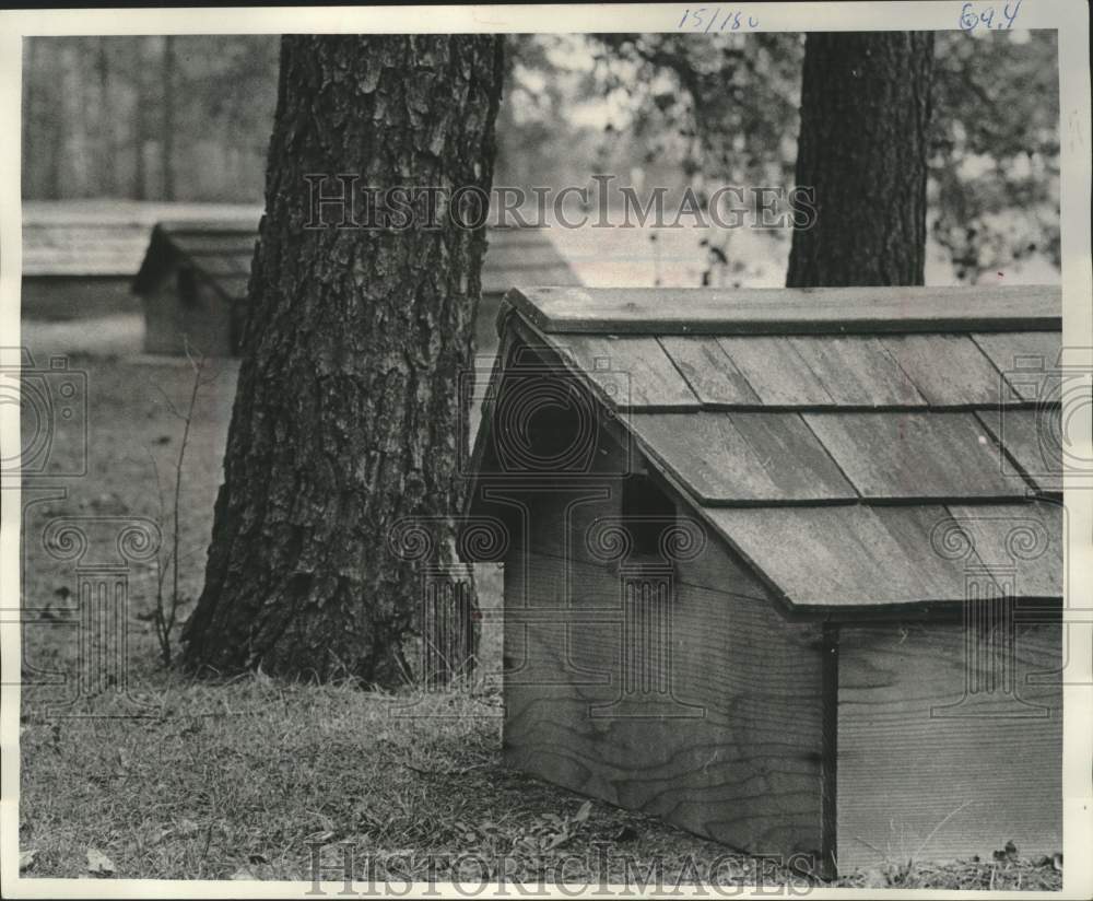 1973, &quot;Spirit Houses&quot; Cover The Graves Of Departed Native Americans - Historic Images