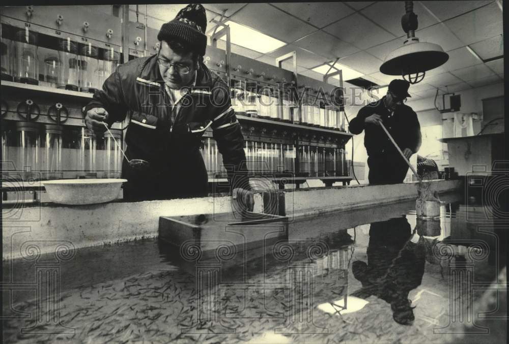 1985 Press Photo Buster Poupart and Willis Allen examine fish at tribal hatchery - Historic Images