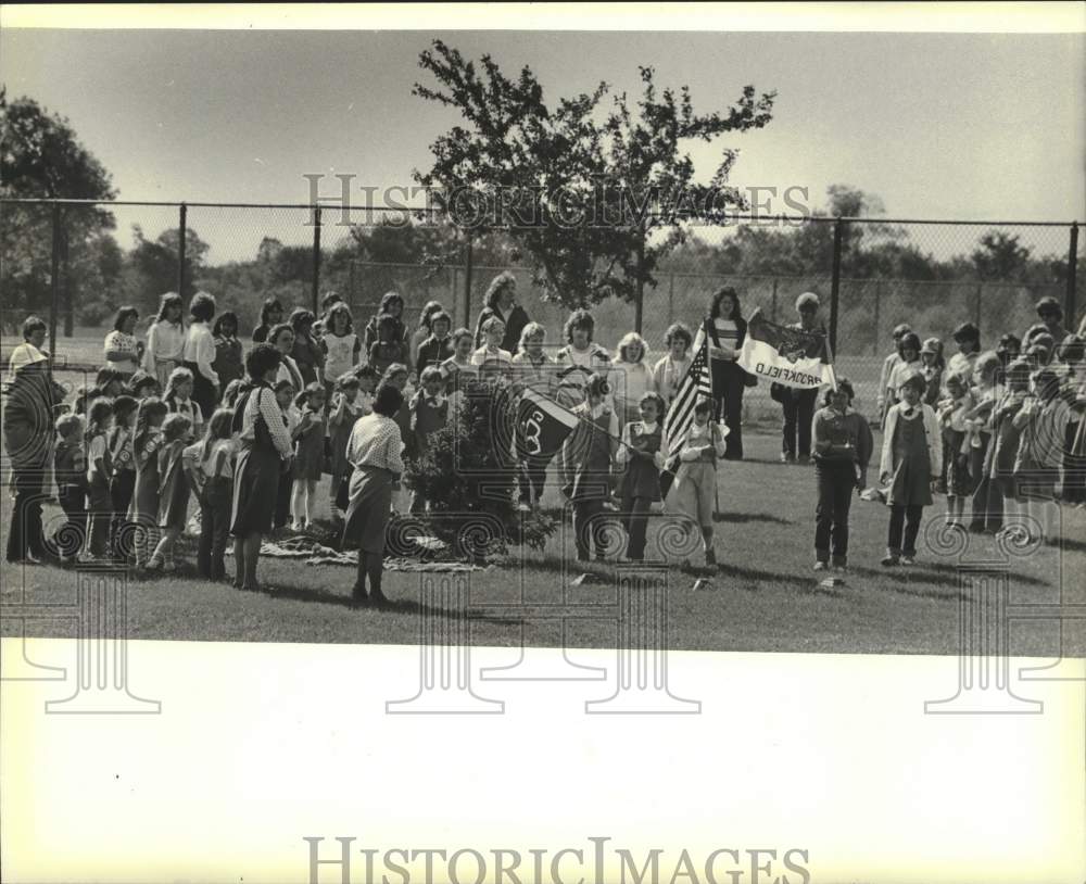 1983 Press Photo Girl Scouts gathered to dedicate a spruce tree to Brookfield - Historic Images