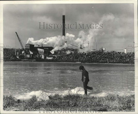 1969 Press Photo Jopper Fish walks home along an ice covered log pond, Wisconsin - Historic Images