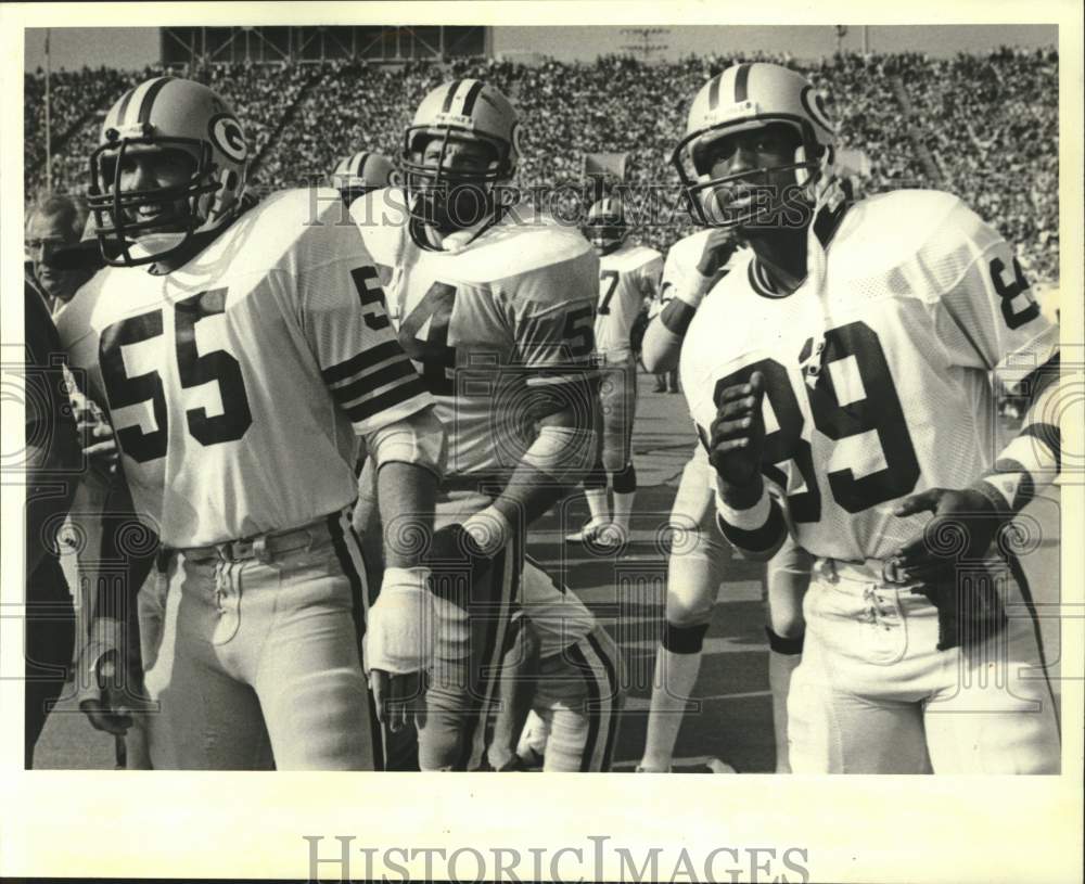 1981 Press Photo Fans look on at, Green Bay Packer players on field. - mjc39565 - Historic Images