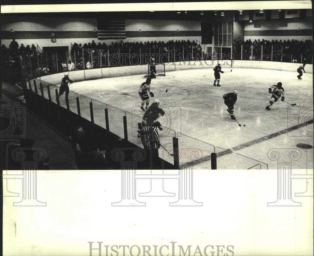 1982 Press Photo Milwaukee Admirals Professional Hockey Team At Wilson Park - Historic Images