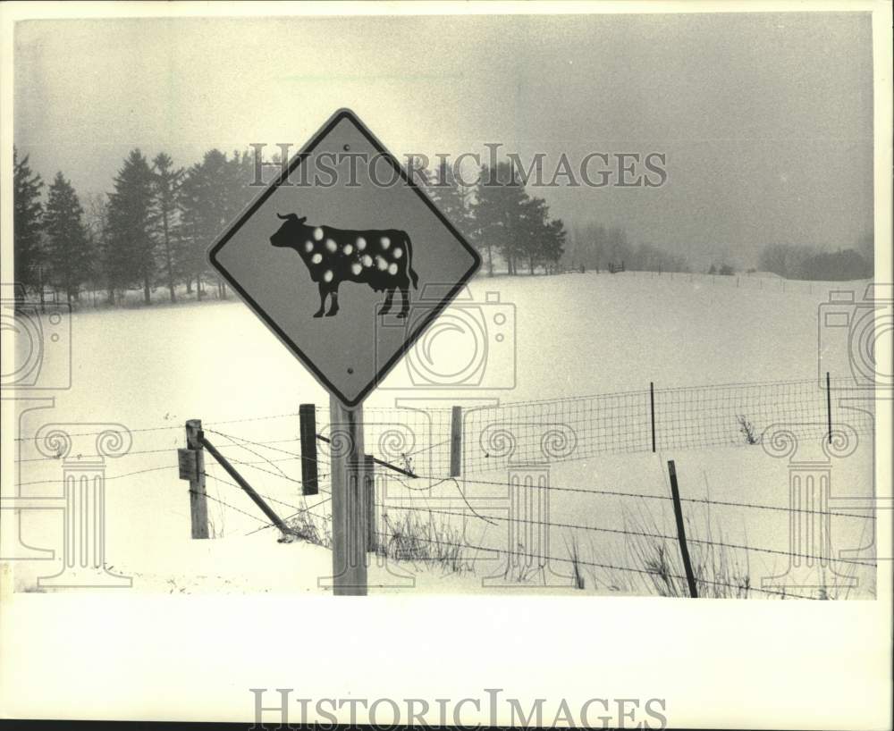 1984 Press Photo Painted Cattle Crossing Road Sign Near Madison, Wisconsin - Historic Images