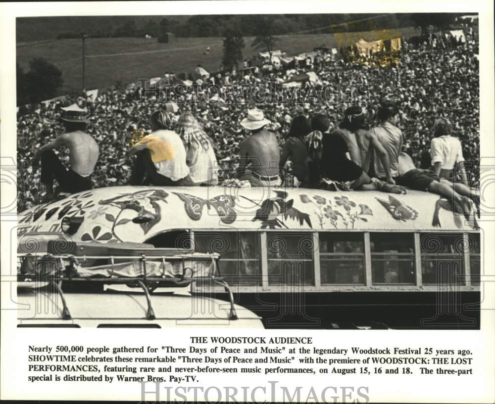 1994 Press Photo 500,000 people gathered for the music at Woodstock Festival - Historic Images