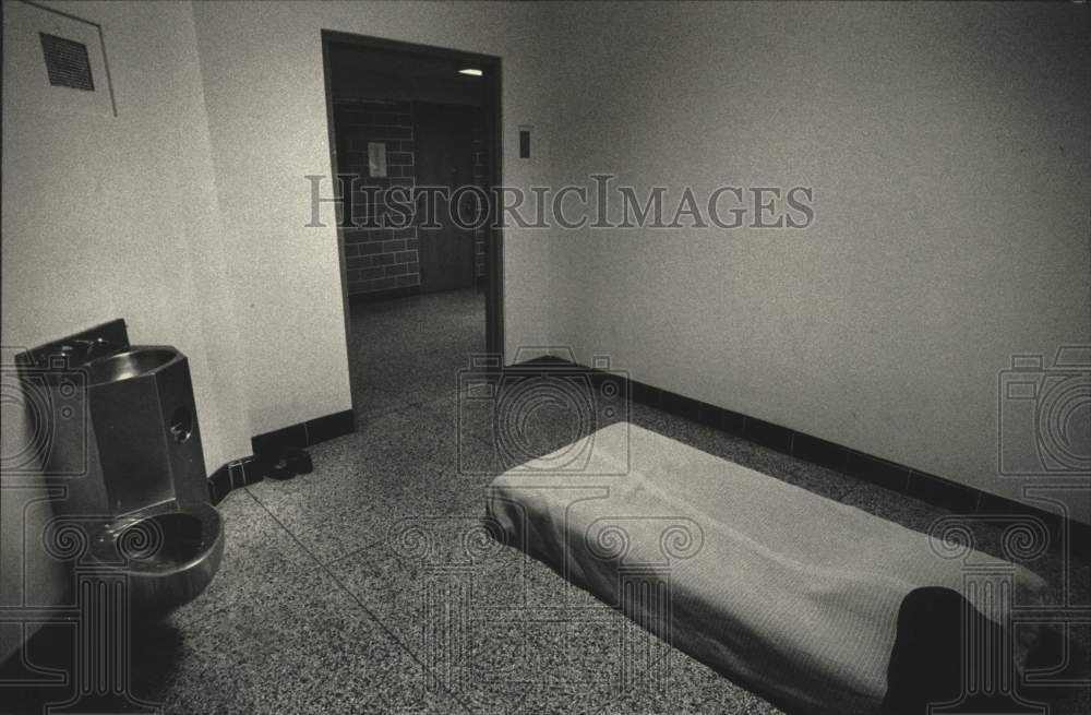 1992 Press Photo Maximum-security room at Mendota Mental Health Institute - Historic Images