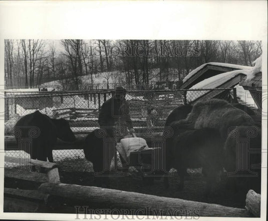 1971, A worker at The Ranch - mjc40121 - Historic Images