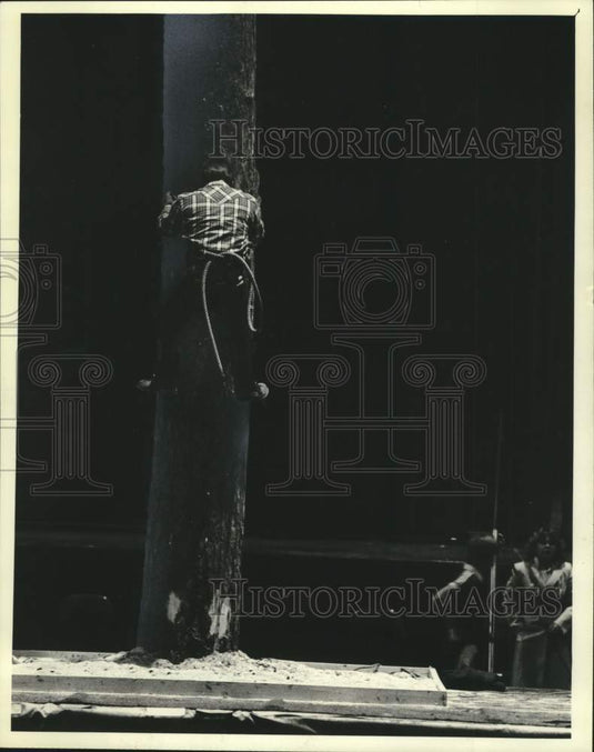 1982 Press Photo Dave Maxwell Climbs Norway Pine, Milwaukee Boat Show - Historic Images