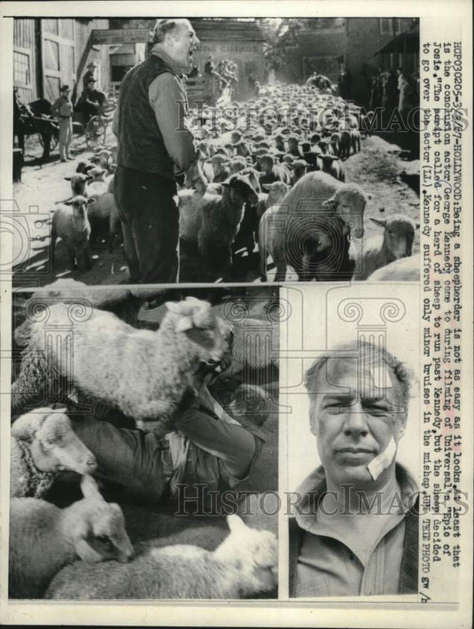 1967, Actor George Kennedy & sheep during filming of "Epic of Josie" - Historic Images