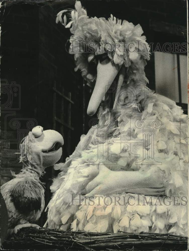 1975, Muppet Poco Loco the parrot and Big Bird on Sesame Street - Historic Images