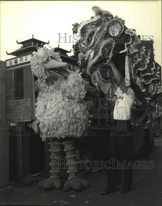 1978 Press Photo Big Bird meets a "dragon" in New York City's Chinatown - Historic Images