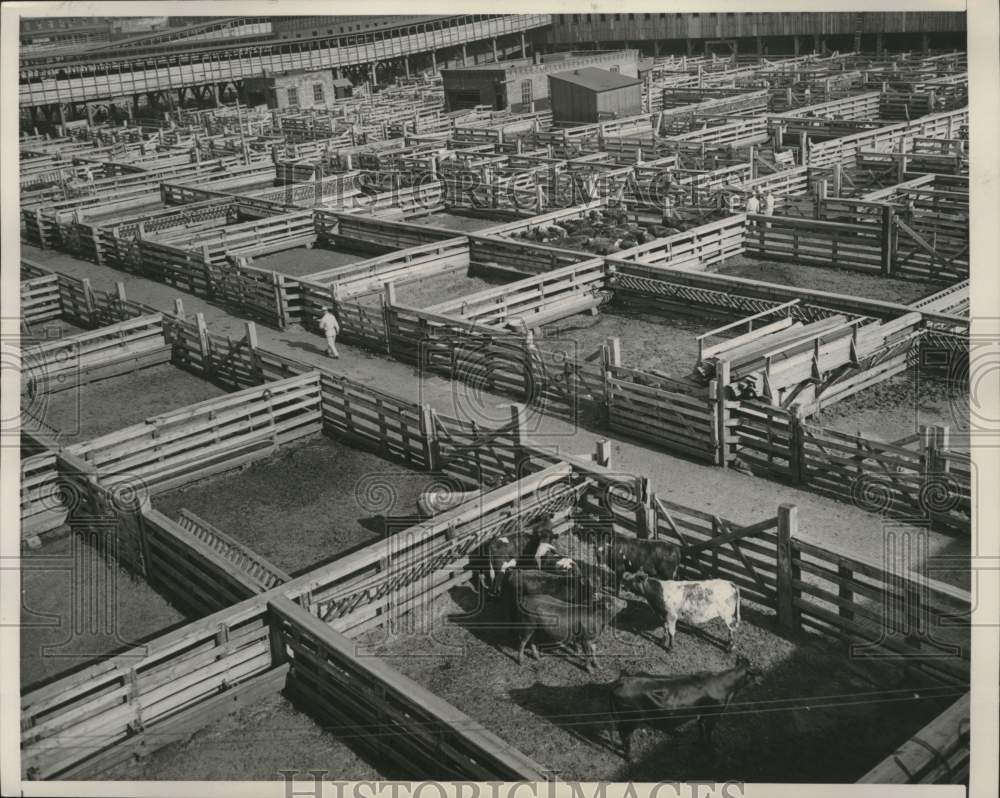 1951 Press Photo Empty pens at the Union Stock Yards, Chicago, Illinois - Historic Images