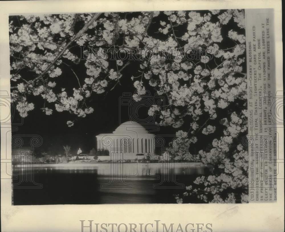 1949 Cherry Blossoms at the Jefferson Memorial, Washington D.C. - Historic Images