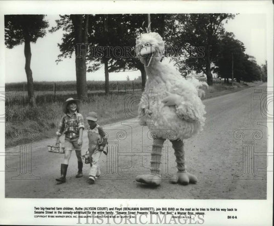 1985 Press Photo Scene from "Sesame Street Presents: Follow That Bird" - Historic Images
