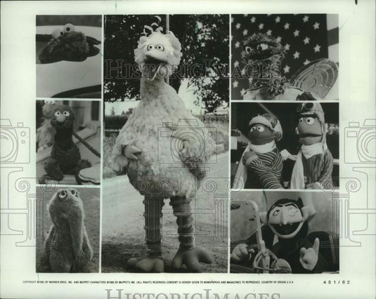 1985 Press Photo Big Bird, Sesame Street character collage - mjc41576 - Historic Images