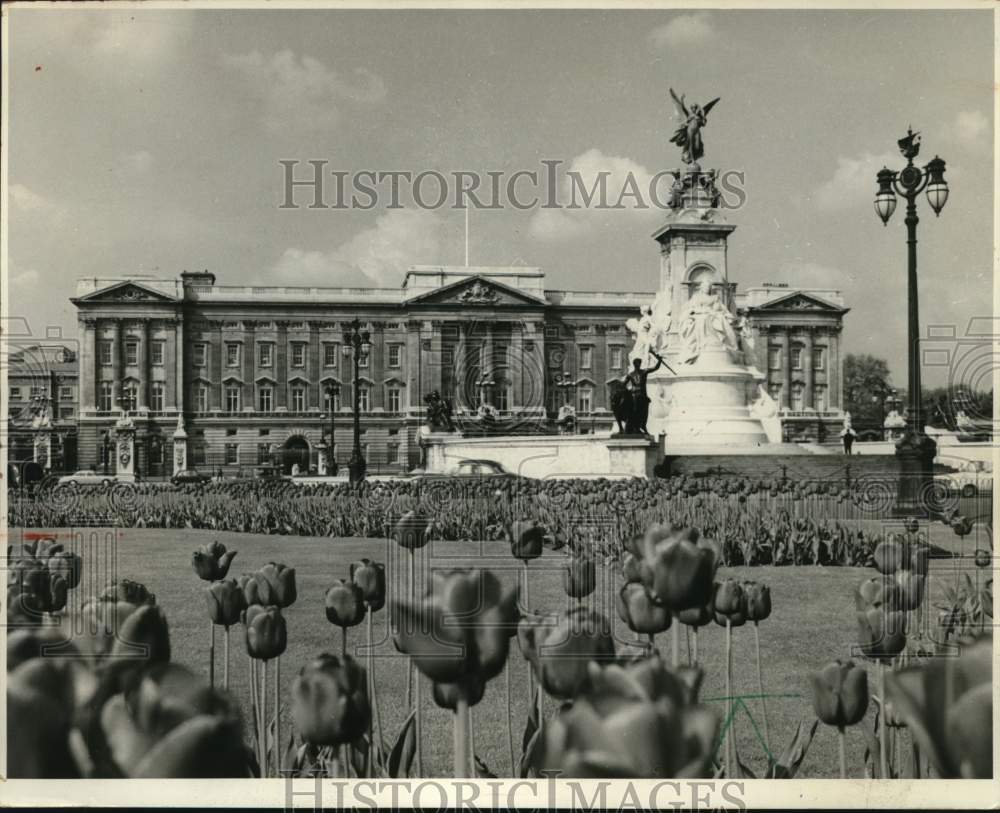 1986, View of Buckingham Palace in London Through Tulip Gardens - Historic Images