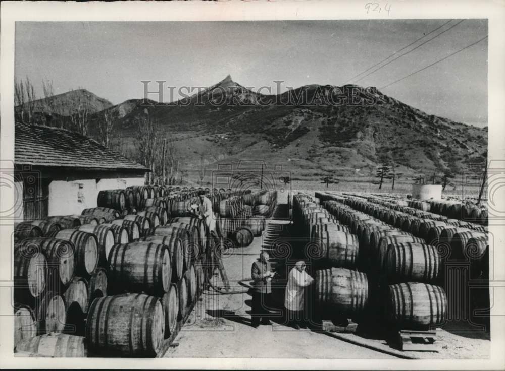1954 Workers at Koktebel Farm in Crimea Check Barrels of Wine-Historic Images