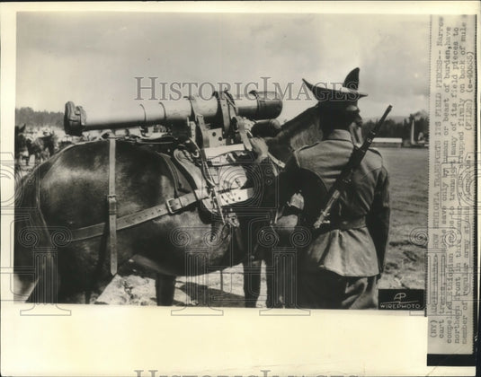  Ethiopian troops transporting field supplies on mules, Addis Ababa - Historic Images