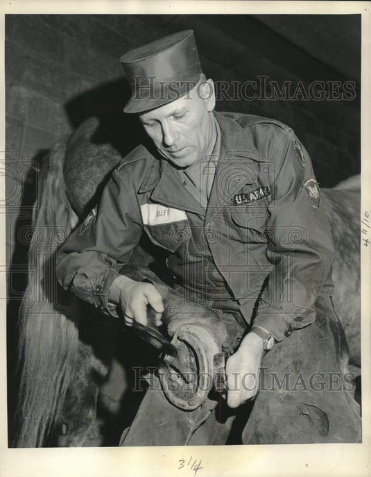 1957 Press Photo US Army's only Blacksmith SPC Otto Ruff Shoes Ceremonial Horse - Historic Images