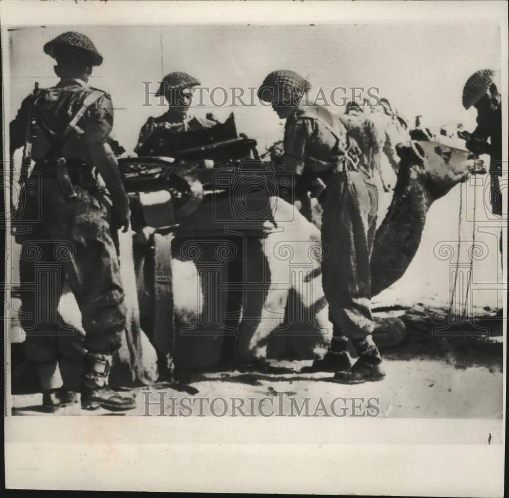 1965 Press Photo Men of Rajasthan camel corps load ammunitions on camel, Kashmir - Historic Images