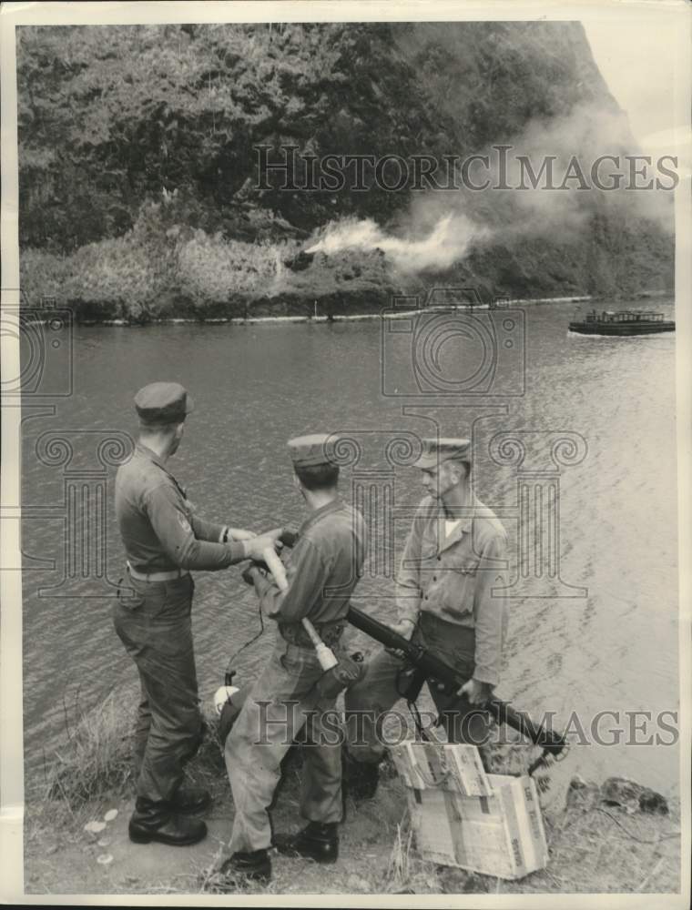 1952 Press Photo Jungle Troops Practice Establishing Communication In Panama - Historic Images