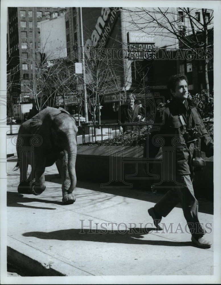 1980 Press Photo Todd Susman and Ethel in "Ethel is an Elephant" - mjp02464 - Historic Images