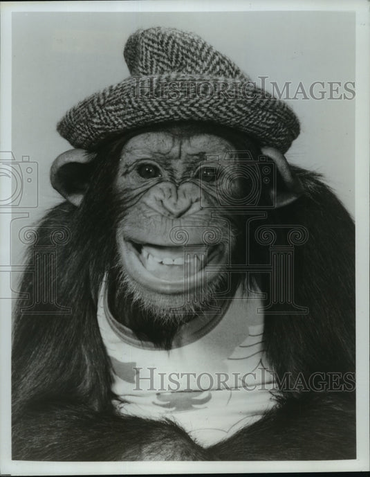 1980 Press Photo Bear in Armour and Company Presents Bob Hope in The Starmakers - Historic Images