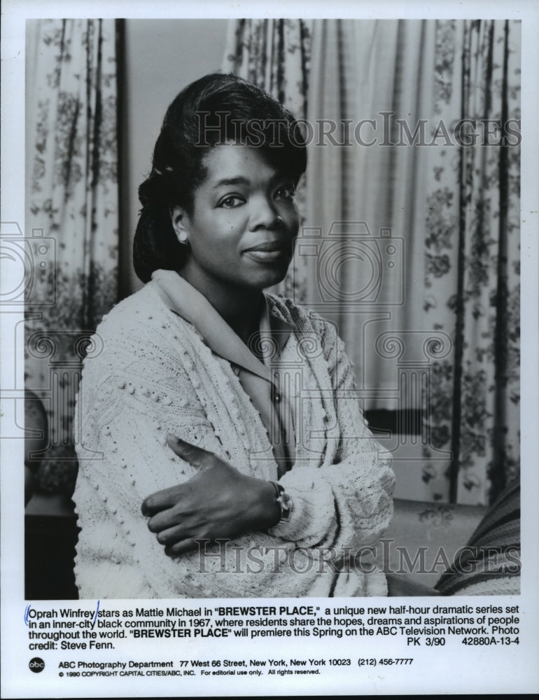 1990 Press Photo Oprah Winfrey stars in Brewster Place, on ABC. - mjp06281 - Historic Images