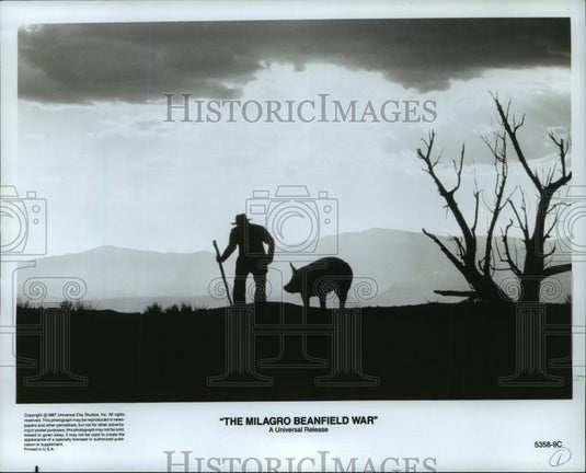 1987 Scene from Redford's "The Milagro Beanfield War"-Historic Images