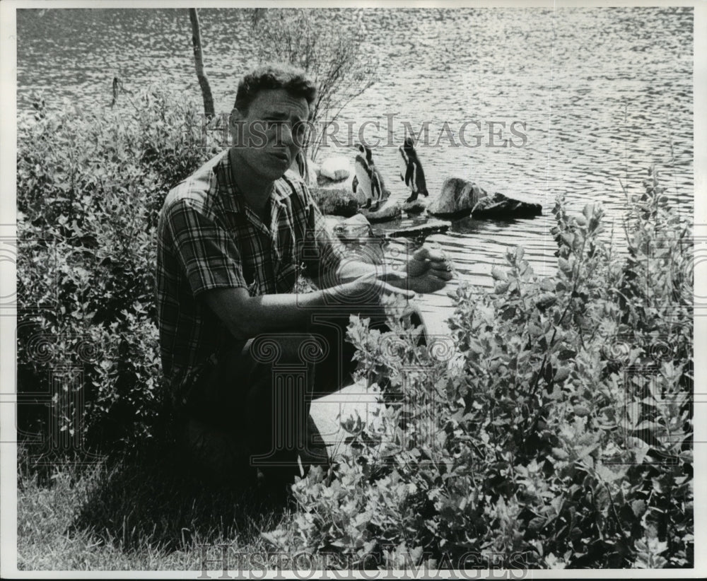 1968 Press Photo JimEbner, animal tracker at the lagoon with penguins at the zoo - Historic Images