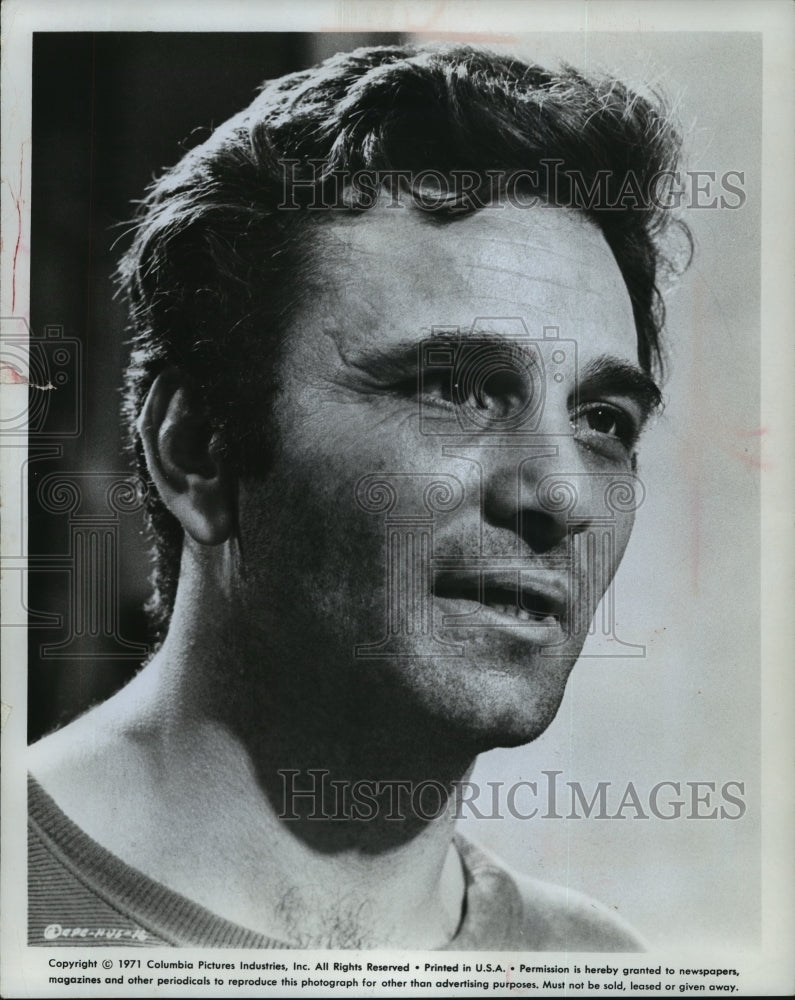 1971 Press Photo Peter Falk, actor. - mjp12612-Historic Images