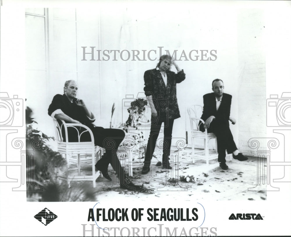 1986 Press Photo Afllock of Seagulls Band, Arista - mjp14090 - Historic Images
