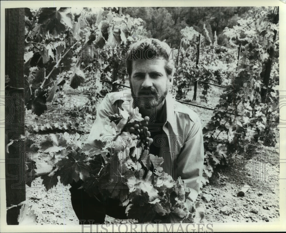 1982 Press Photo Robert Foxworth in grape vineyard - mjp15456 - Historic Images