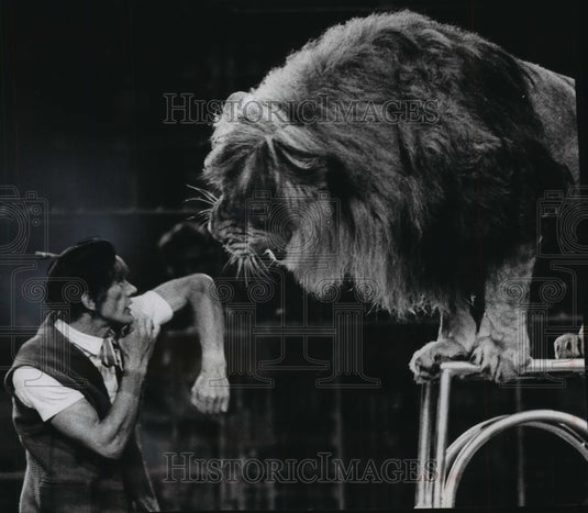 1965 Press Photo Ringling Brothers Circus Entertainer In The Den WIth A Lion-Historic Images