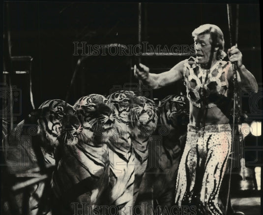 1980, Trainer Gunther Gebel-WIlliams Keeps Act In Line At Circus Show - Historic Images