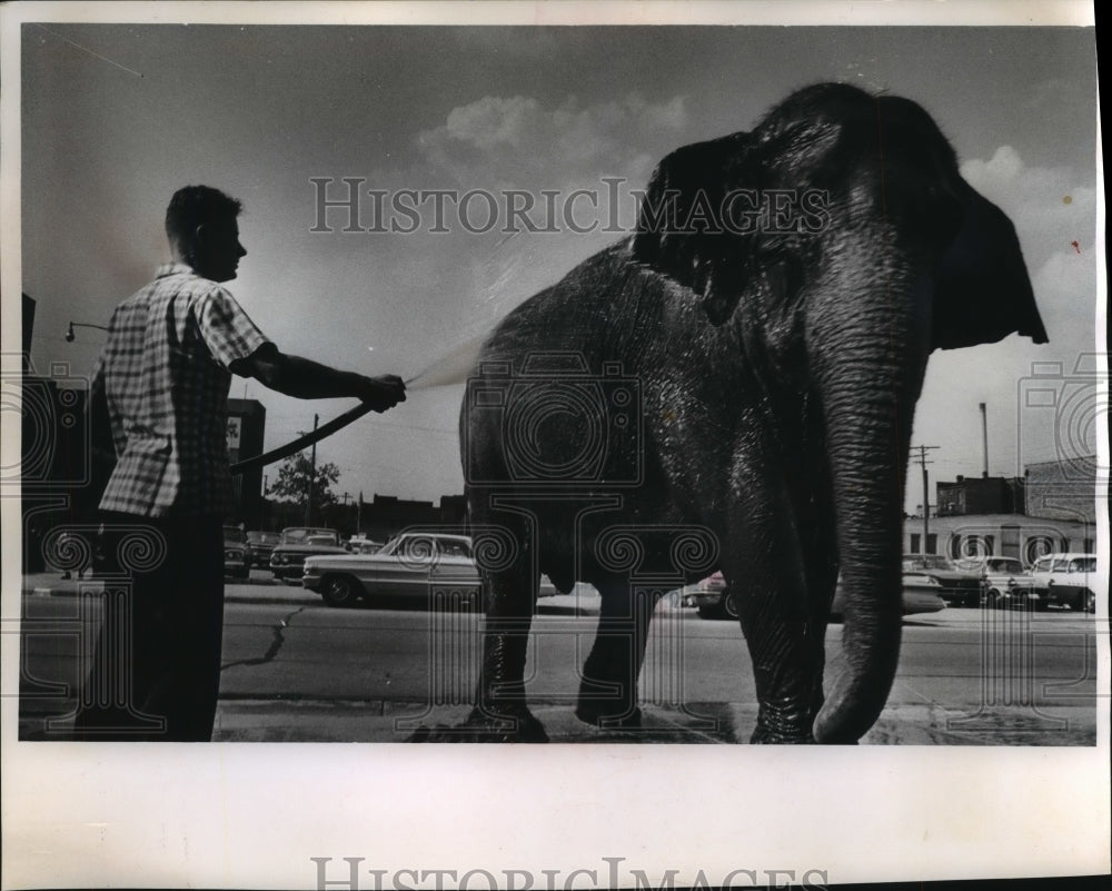 1964 Press Photo Man Gives Ringling Brothers Circus Elephant Bath After Arrival-Historic Images