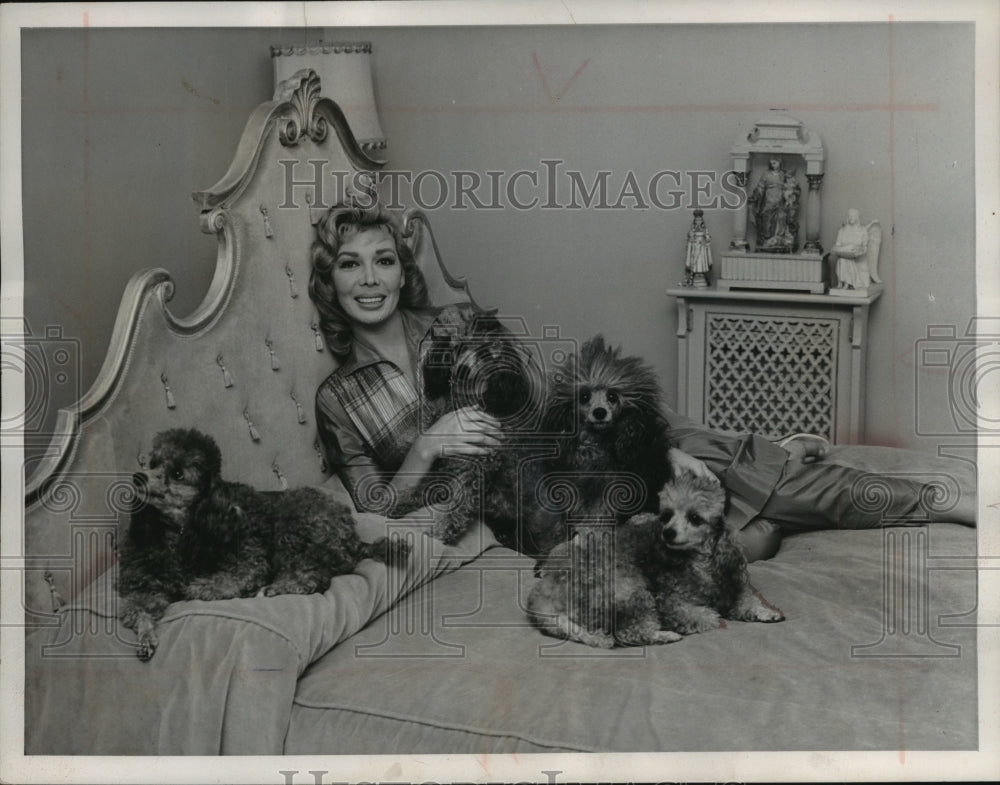 1957, Singer Delores Gray with her four dogs sitting in bed - Historic Images