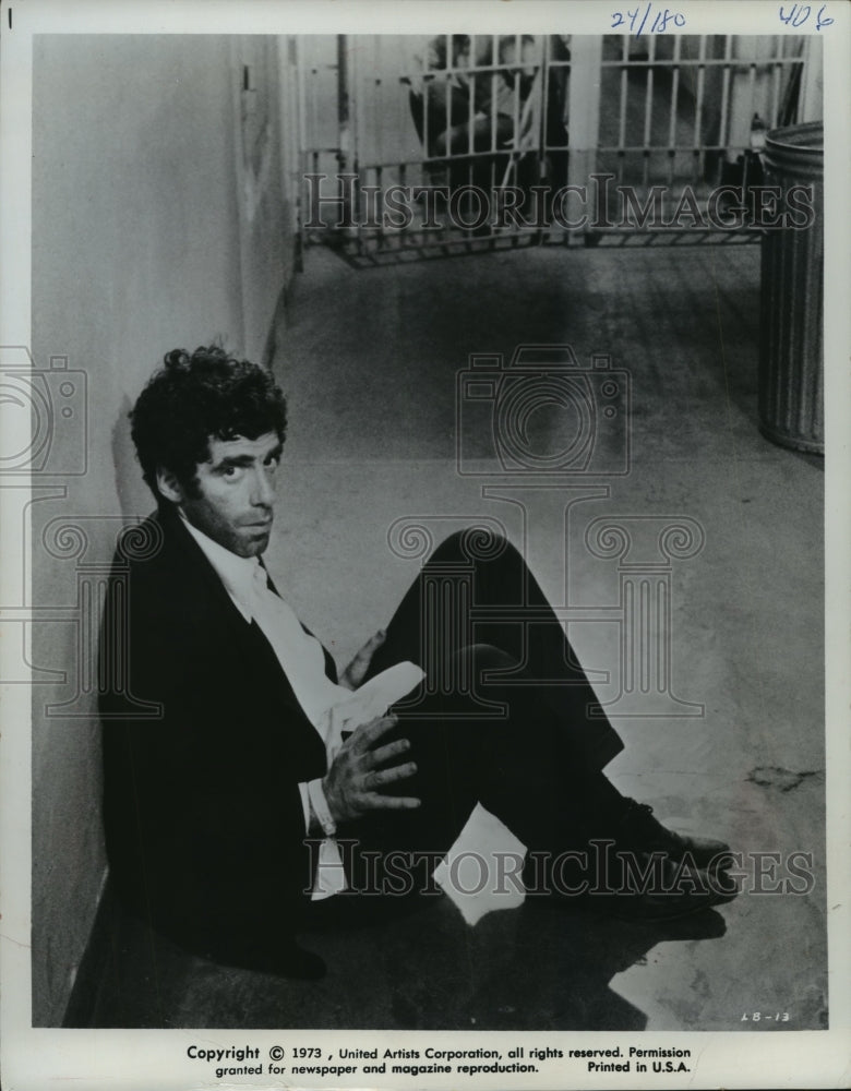 1973, Elliott Gould in "The Long Goodbye" - mjp17774 - Historic Images